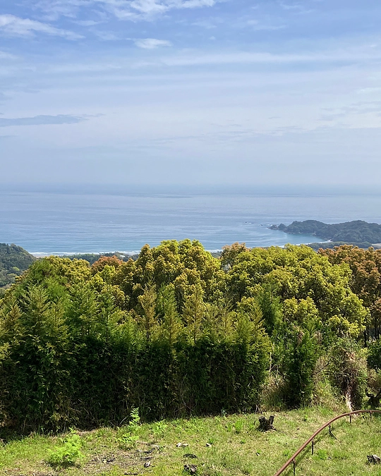 4/7（日）山でやりたいこと32