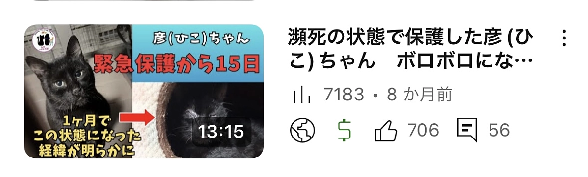 瀕死の状態で保護した黒猫のその後