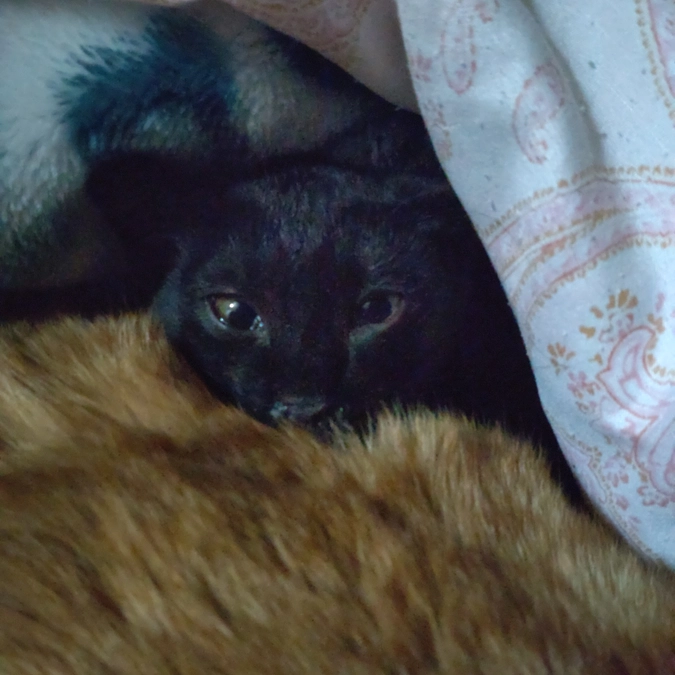 みぃ〜つけた👀