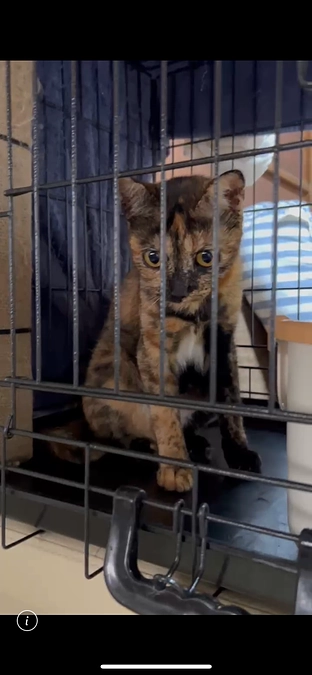 病院へ行ってきました！