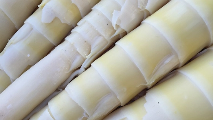 純国産の美味しいメンマ創りで全国的課題の竹林整備を進めます！