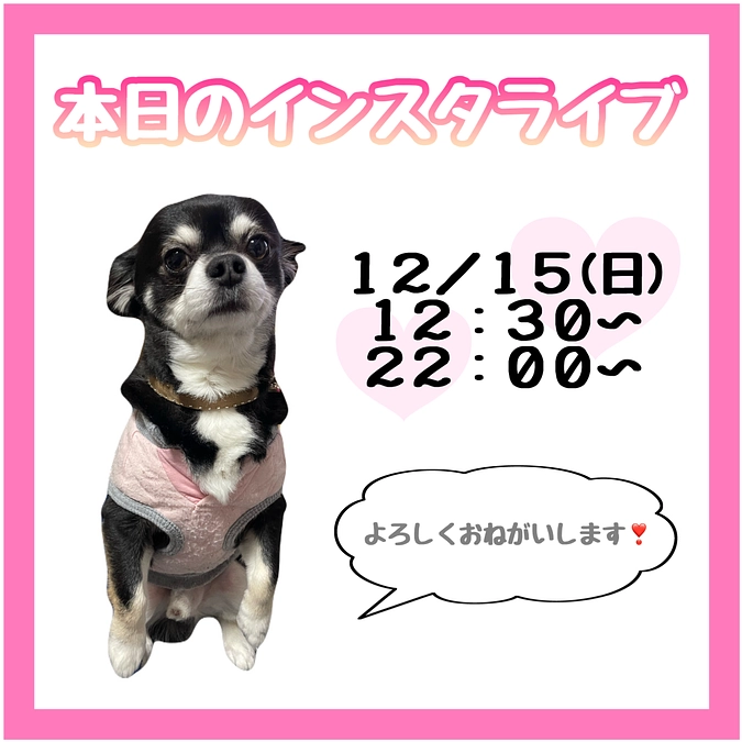 本当のライブ予定