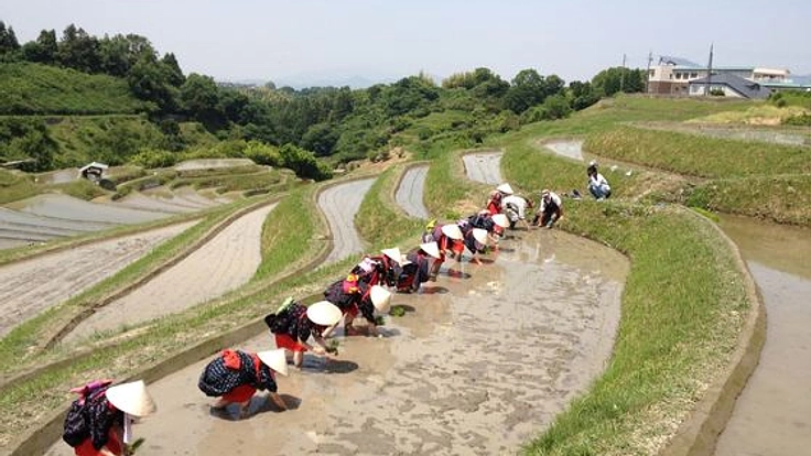 早乙女田植えを次世代に伝えるため、オリジナルの田植え歌を作る