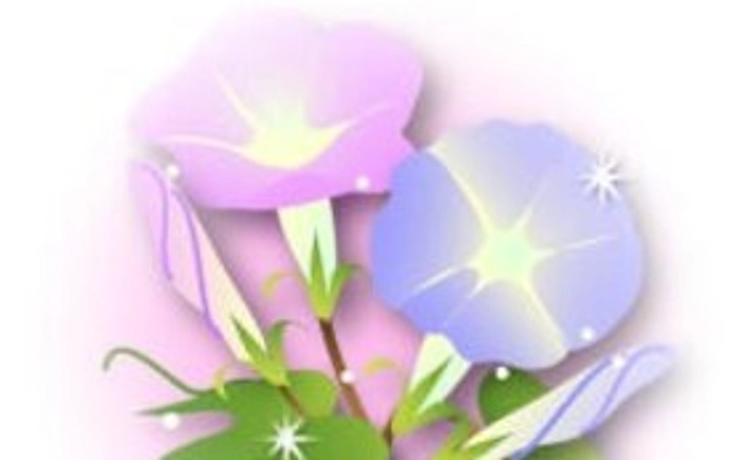 応援コース  （3千円）感謝のメール、報告レポート（PDF)