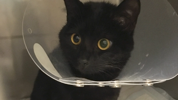 奇跡に近い回復を見せている｢みんと｣本当の奇跡を起こしたい！