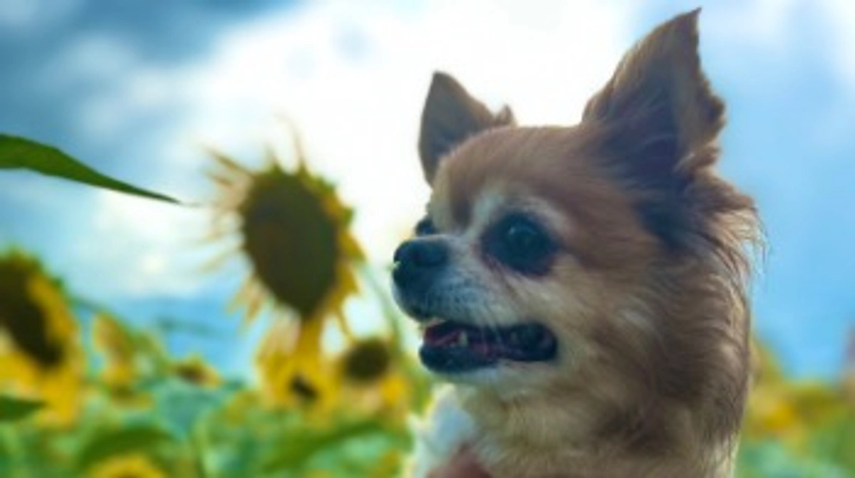 達成率24%⭐️心より感謝申し上げます【活動報告19日目】