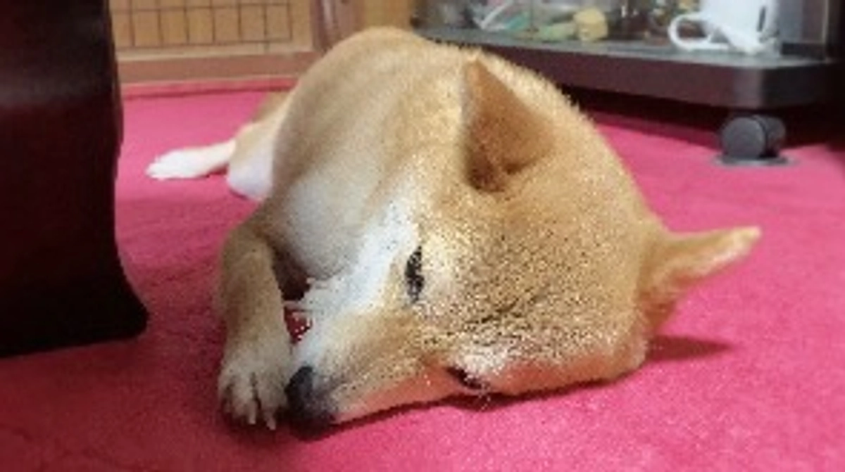 抗がん剤治療 2クール目【副作用】