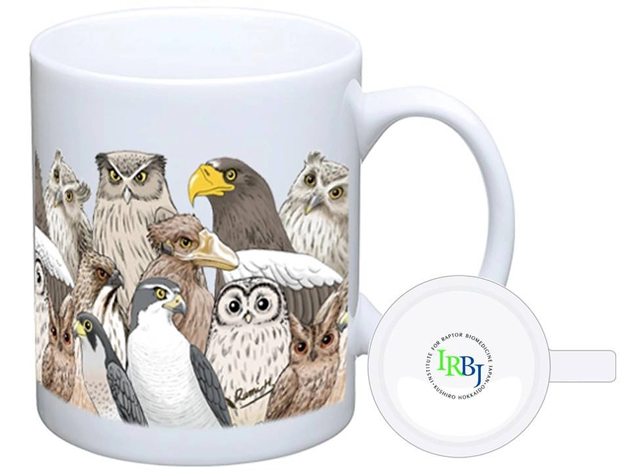 猛禽ぎゅうぎゅうマグ登場です！