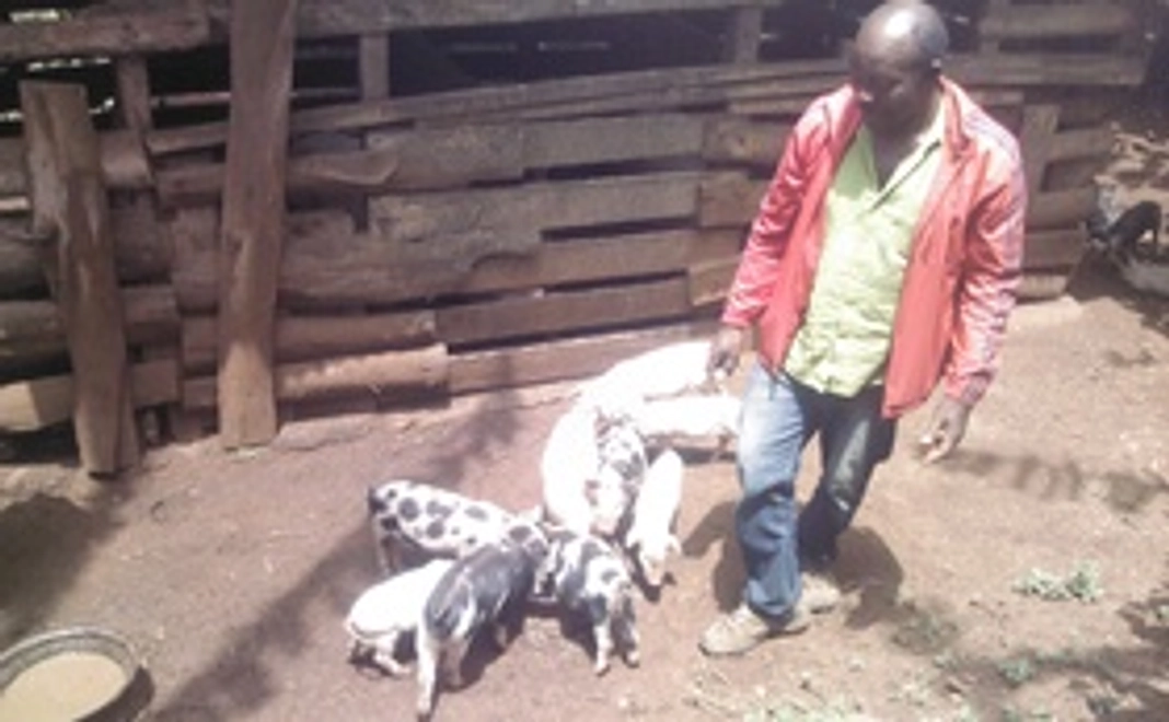 現地から感謝の手紙、パンフレットなど（電子データ版）