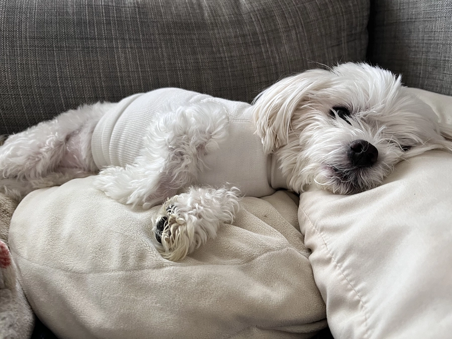 代理支援のご案内