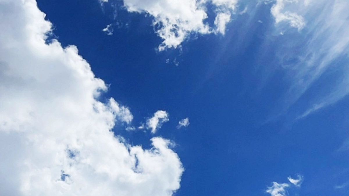 小さくて大きな命に教えられたこと