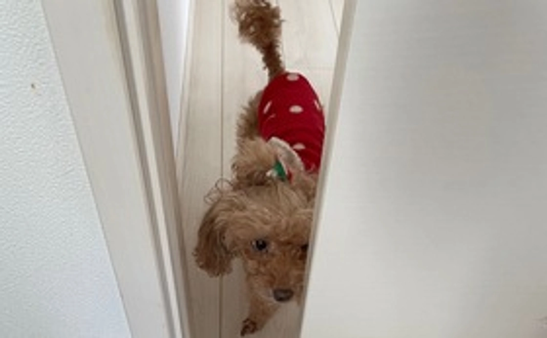 感謝の気持ち①