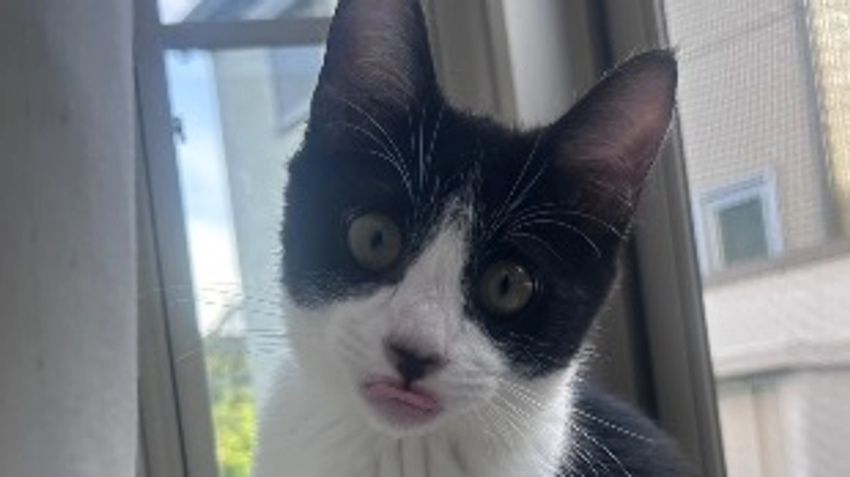 10月14日 〜 日常報告① 〜保護から53日目