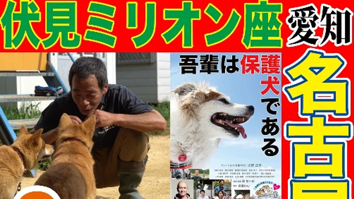 名古屋市での映画『吾輩は保護犬である』の上映が決定しました！！
