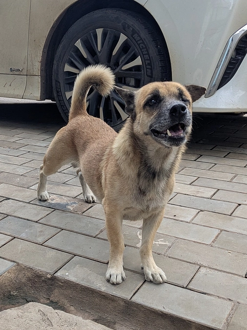 【ご支援ありがとうございまし9た！】ロミオとジュリエット