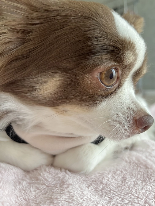 2023.12.06 代理支援反映のご報告☑️