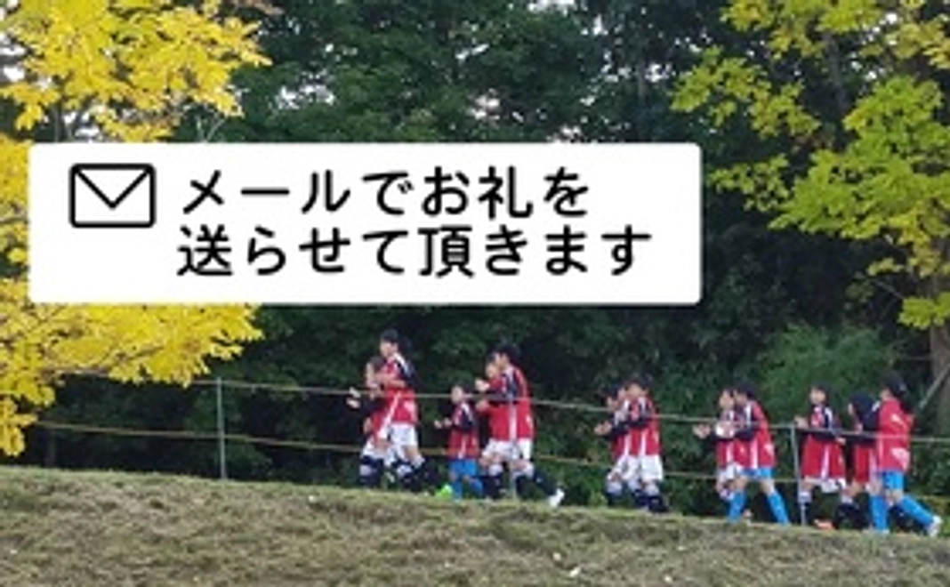 お礼状(メールでのお礼状送付です）