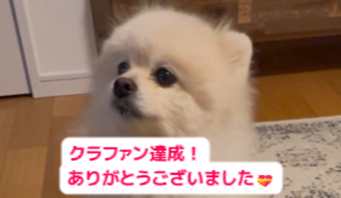 プロジェクト達成！！ありがとうございました💝（１２月９日～１月１７日　４０日間）