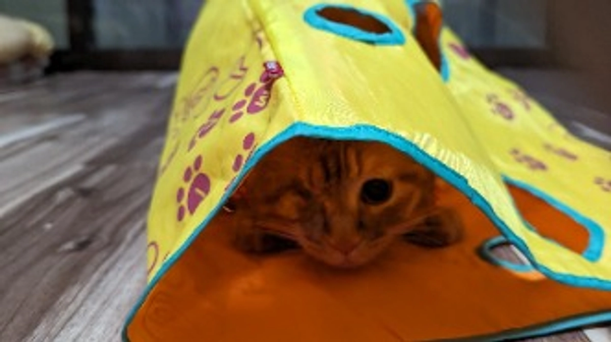 治療費について