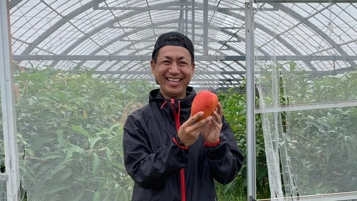 沖縄宜野座村産のマンゴー・パイナップルを全国の皆さんに届けたい！