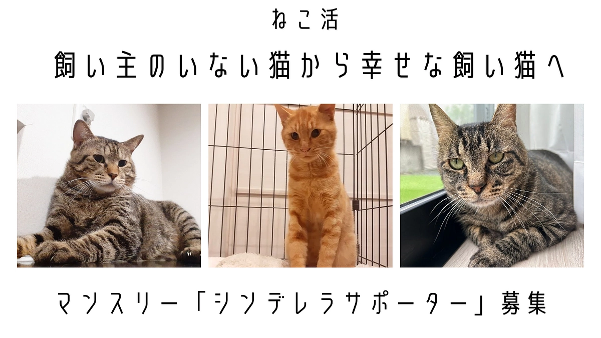 プロジェクト最新情報に更新しました。