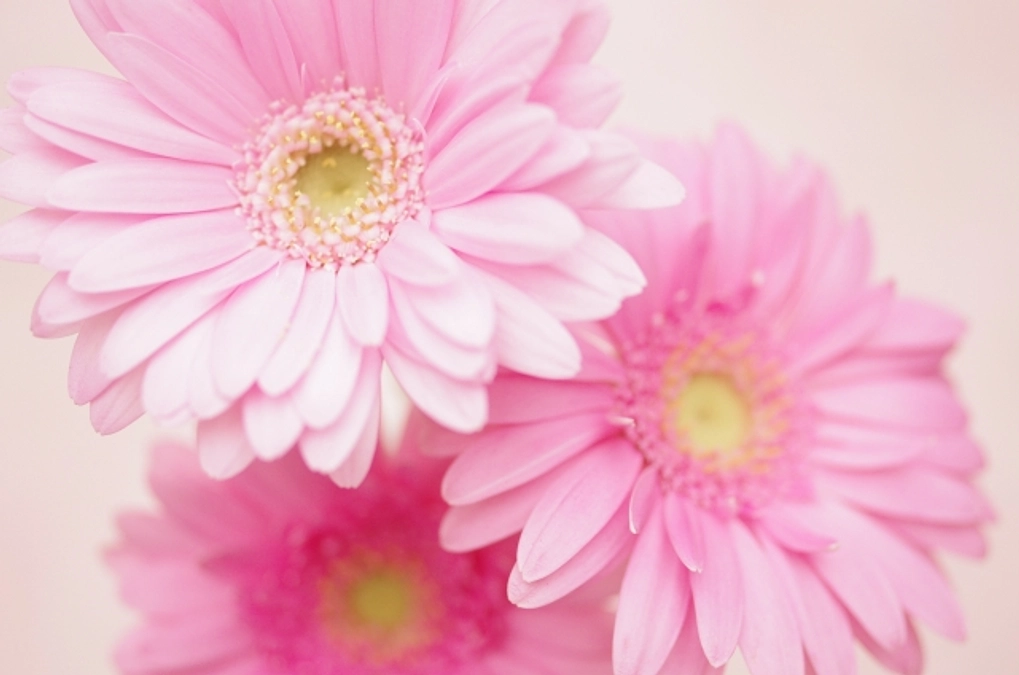 実行委員のおひとりより！