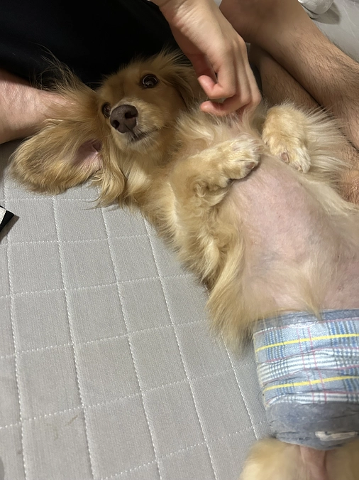 本日入金されました🙇‍♀️