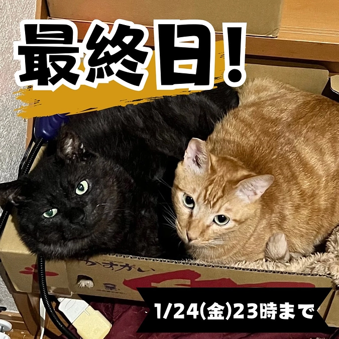 【いよいよ最終日！】支援募集は本日23時までです！