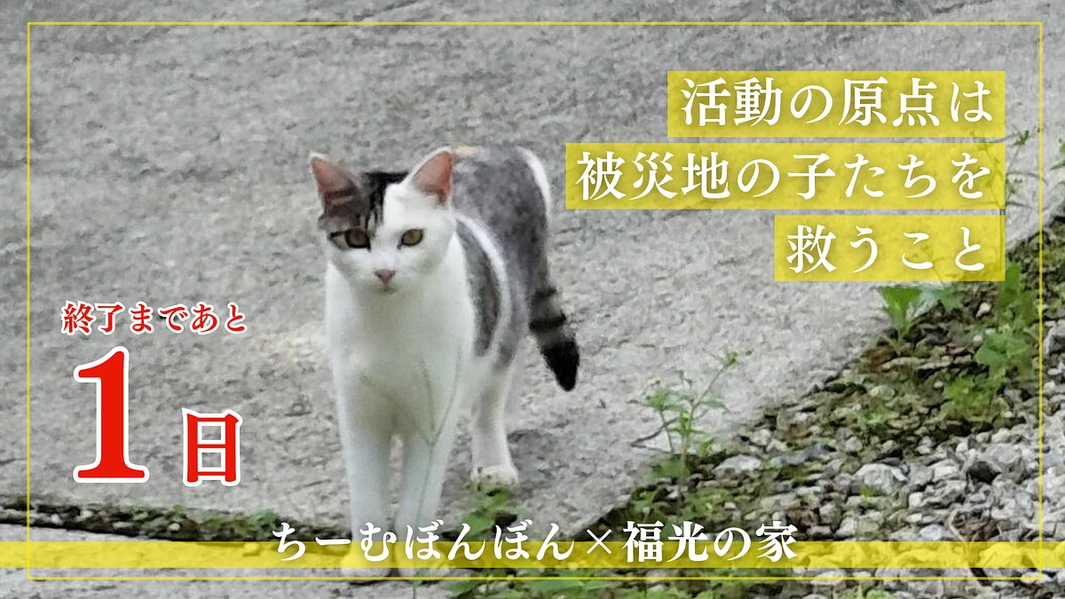 【終了まで残り1日】プロジェクトにかける想い