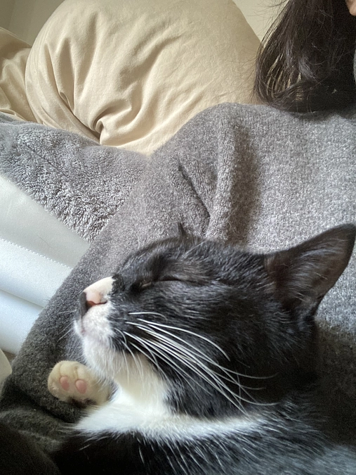 リターン未着の方へ