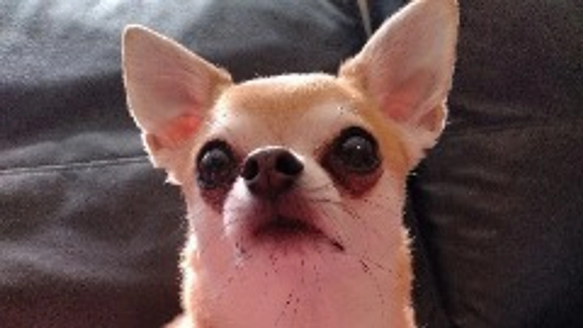 4/22　最近のオールの様子について