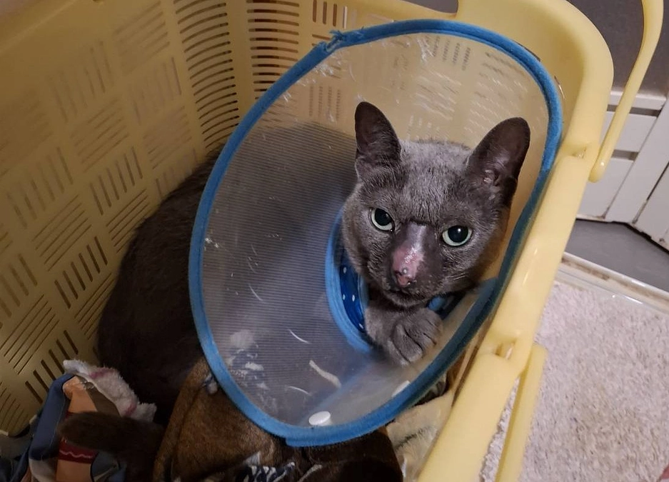 自分のこと、母のこと、父のこと