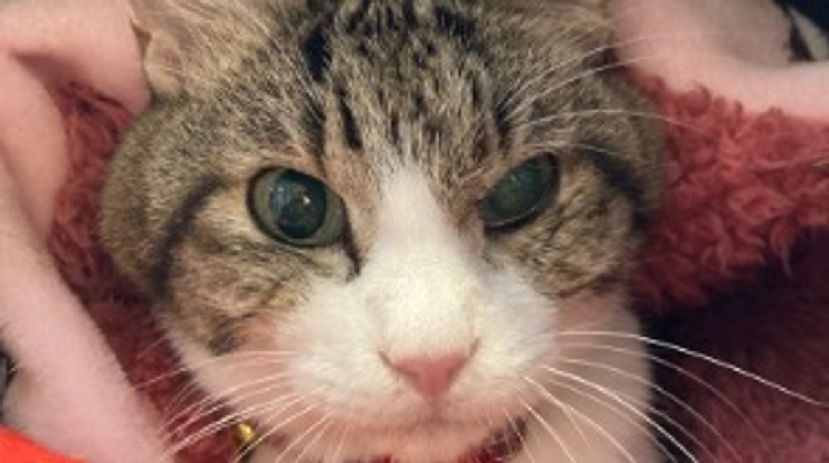 1/14 取り急ぎご報告です💦