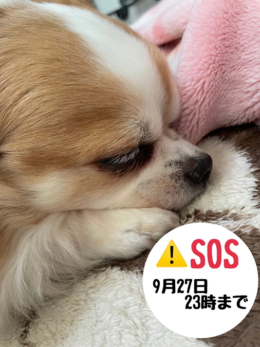 8月28日  現状報告