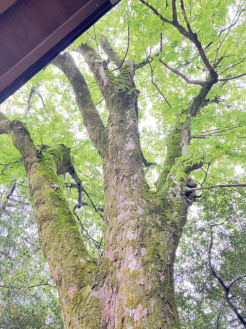 クラウドファンディング終了のお知らせ