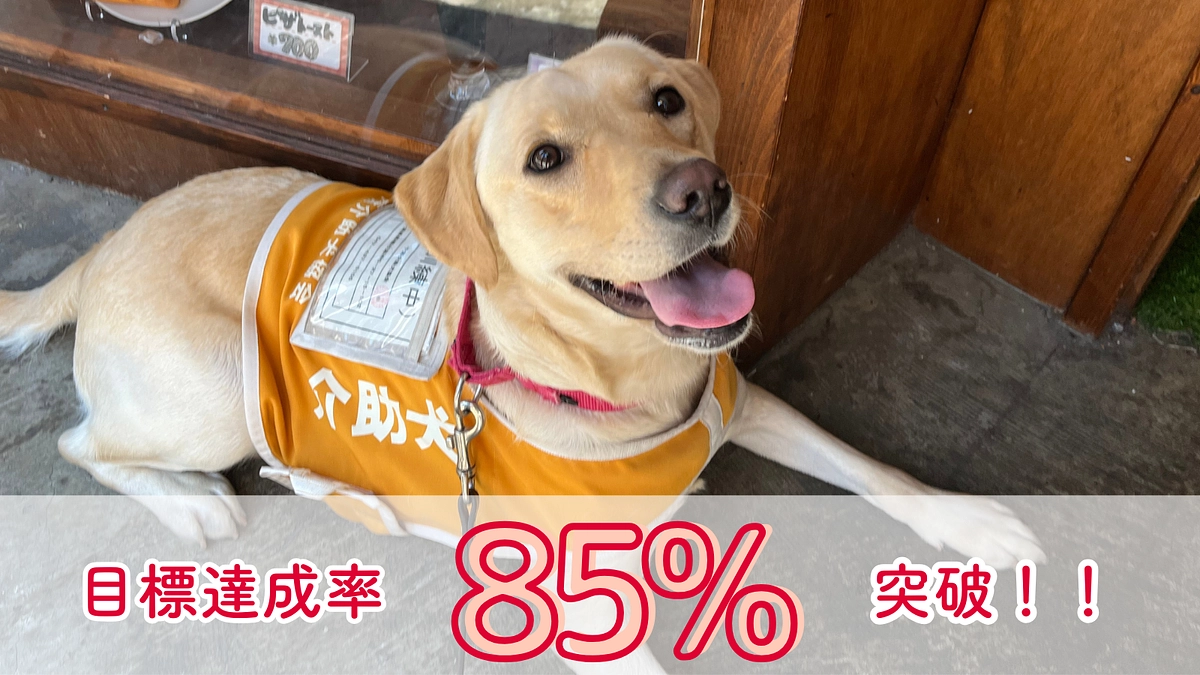 【85％突破】皆様からの応援コメントをご紹介いたします！