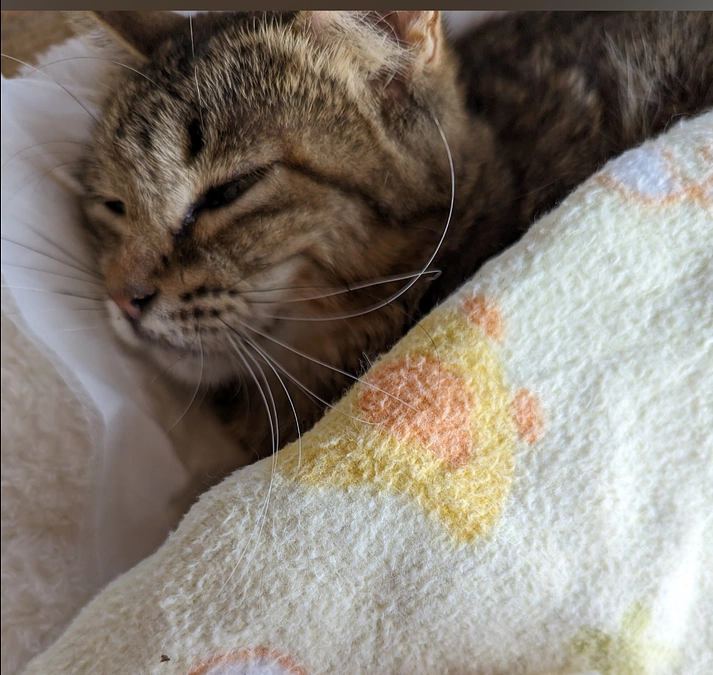 挑戦の45日間感謝致します！