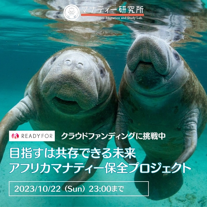 「一般社団法人マナティー研究所」さんがセカンドゴール挑戦中！