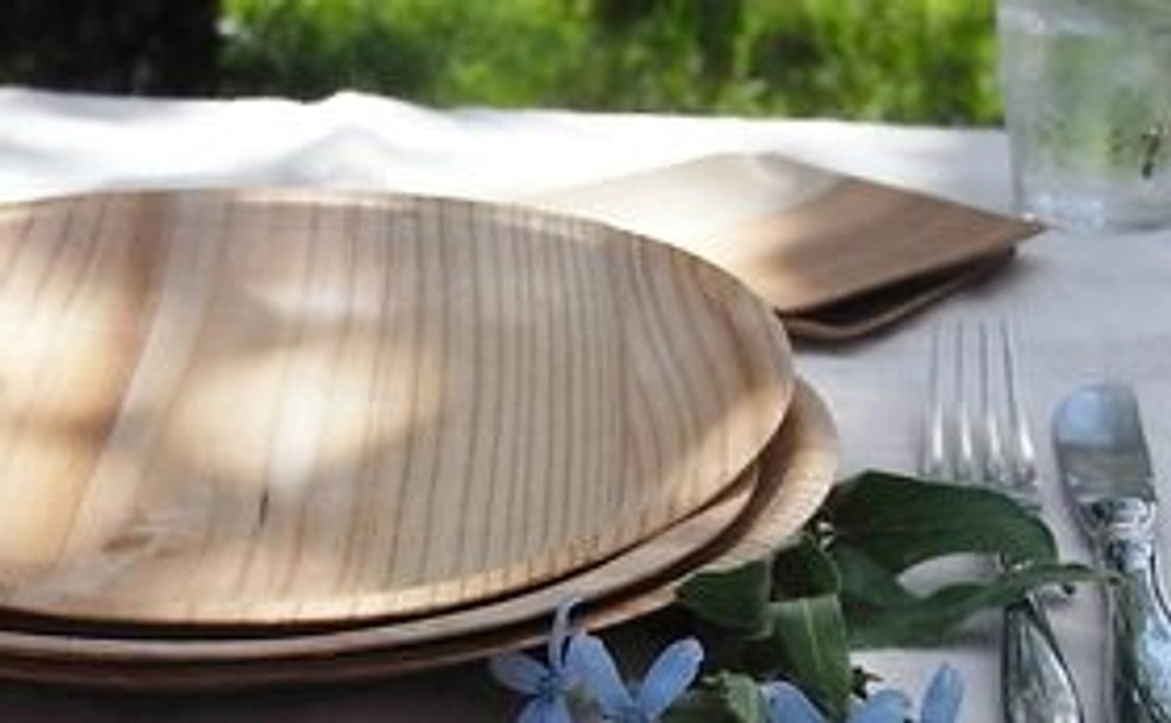 １５年目を記念する棚田の書籍１冊と間伐材の木のお皿3枚