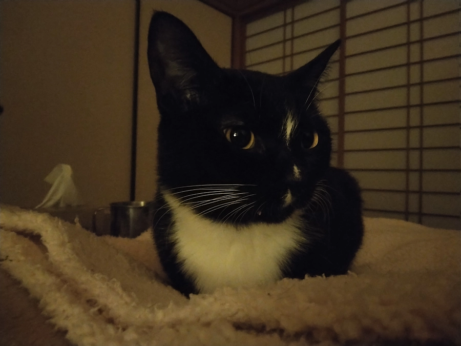 2/16はなちゃんの様子