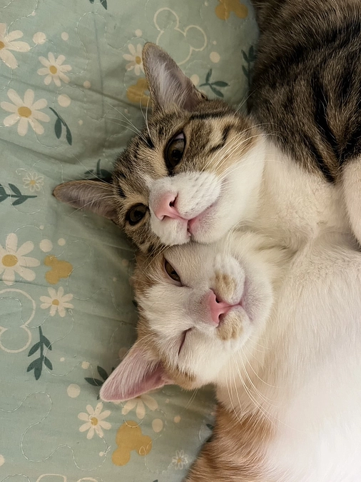 あと17日！ギリギリで支えている縁の下の力持ち！