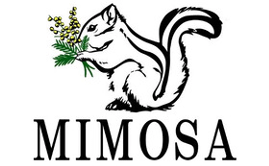 MIMOSA商品券1000円分