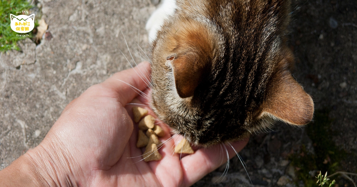 山口武雄獣医師との歩みと想い