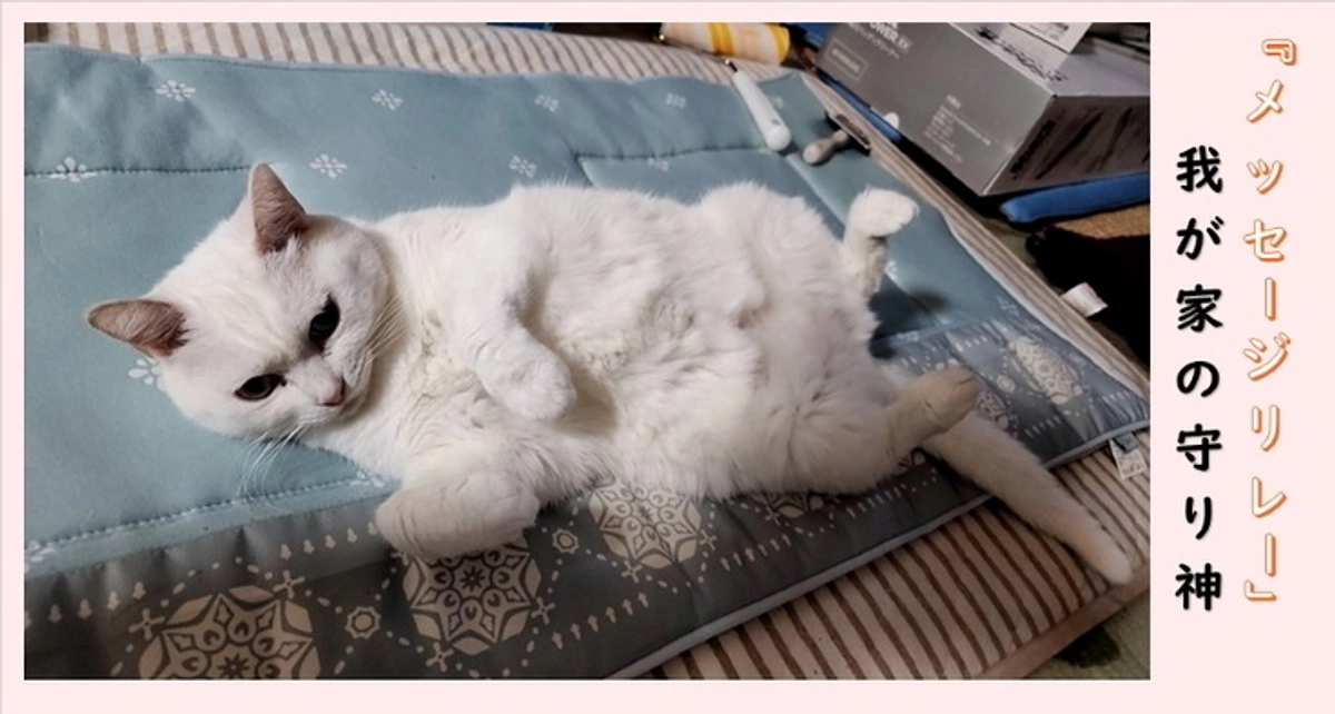 【里親さんメッセージリレーVol.2】我が家の守り神