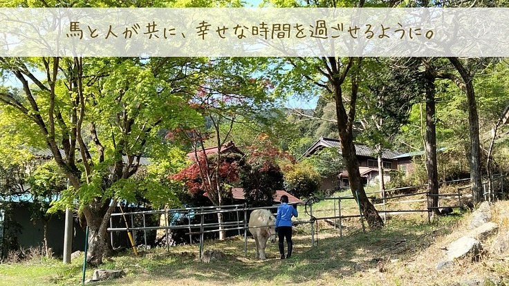 馬たちの心身をもっと豊かに。危険な牧柵を修繕してより安全な環境へ 10枚目