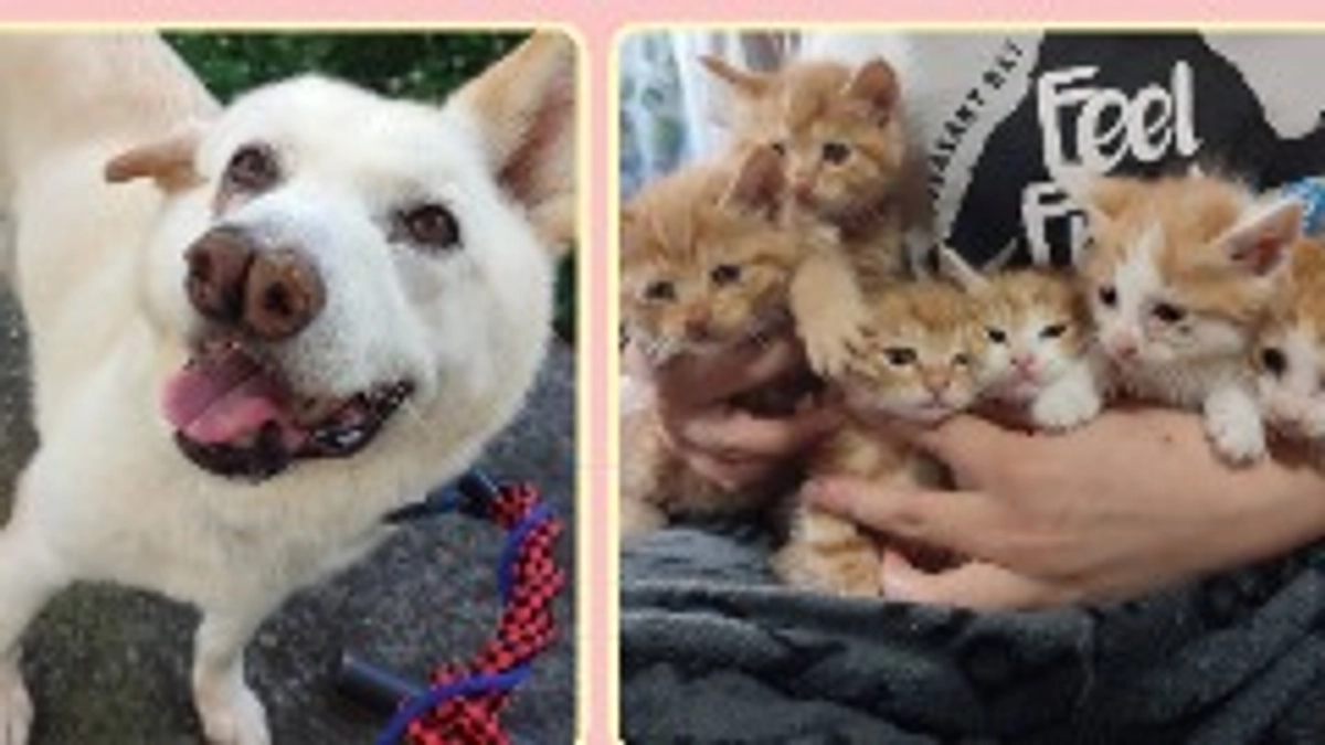 残り2時間半🐶🐾