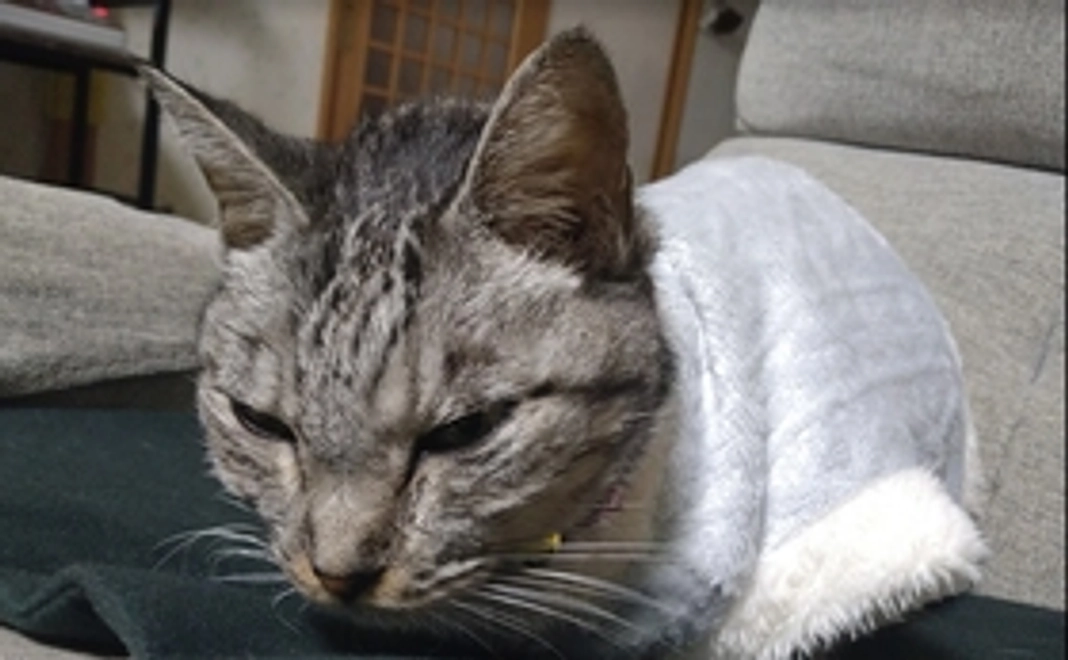 ありがとう。　　　　　　　　　　　　　ずっと忘れない。