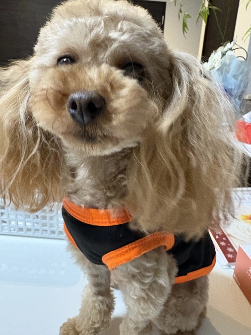 １１月１０日のゆむ君