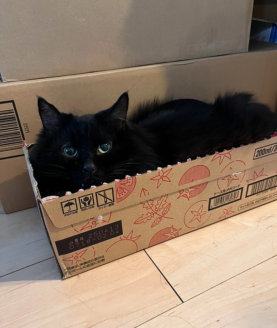 年末年始の楽しみが。。。