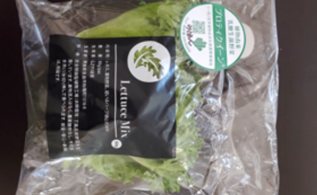 生きた乳酸菌入りレタス